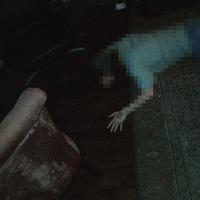 DirtNap