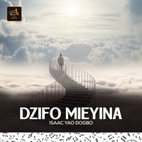 DZIFO  MIEYINA