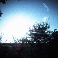 would you have stayed