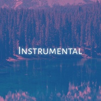 Take Me To Church (Instrumental)