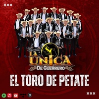 El Toro de Petate