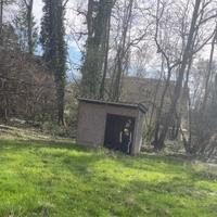 Fourmillère