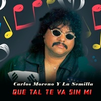 Que Tal Te Va Sin Mi