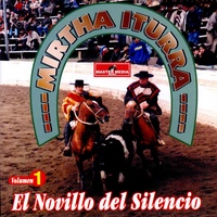 Pajarillo Volador