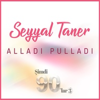 Alladı Pulladı