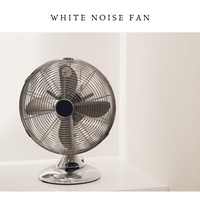 Fan Noise