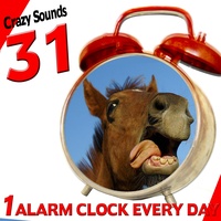 Cars of Competition, a Nascar Race Sounds in My Bed (Efectos De Sonido Coche De Carrera)