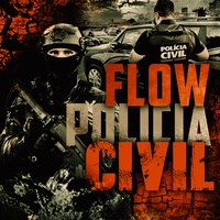 Flow Policia Civil