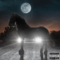 Mustang Preto