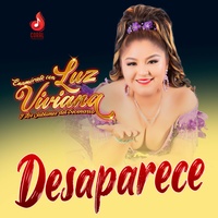 Desaparece