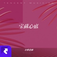 宝藏心底