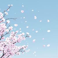 봄바람타고 너에게