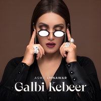 Galbi Kebeer