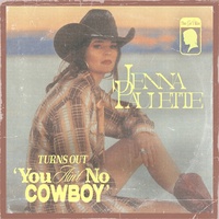 You Ain't No Cowboy