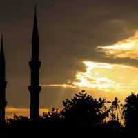 صافح وسامح