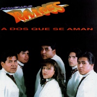 Sin Tú Amor