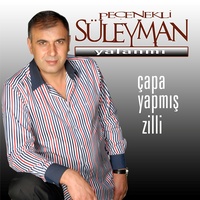 Erik Dalı