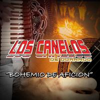 Entre los Cerros y Pinos - En Vivo
