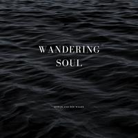 Wandering Soul
