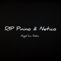Rip Pinino & Netico