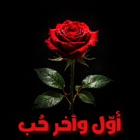 لو ترجع يوم