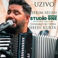 Bekim Selimi Ak amaro Barvalipe Romnije Familija GBR Studio-One-Bremen