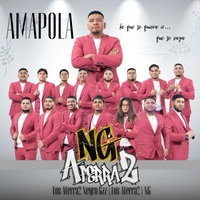 Amapola