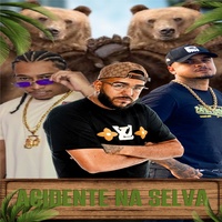 Acidente na Selva