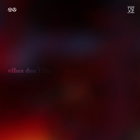 vibes don't lie
