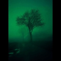 Run toward the green sun