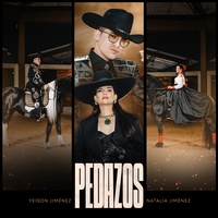 Pedazos