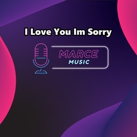 I Love You Im Sorry (Instrumental Version)