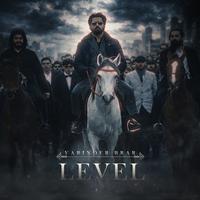 Level (feat. Naaz Kaushal)
