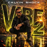 Vibe 2