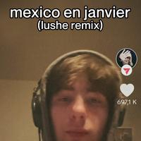 Mexico en Janvier - Lushe Remix