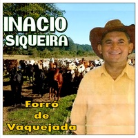 Novilha Criança