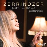 Basit Numaralar - Speed Up V3