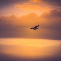 Sunset Background Cinematic Piano
