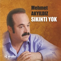 Adını Anarsam
