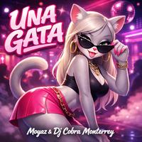 Una gata