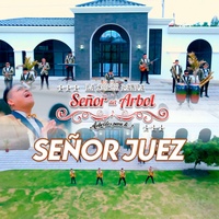 La Super Banda Señor del Arbol (Señor Juez)