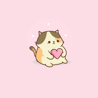 just a cute cat