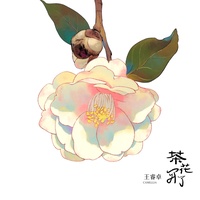 茶花开了(思念的人)