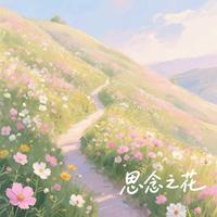 思念的花开满坡 纯乐