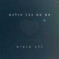 אם את כבר הולכת
