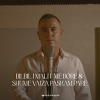 Bilbil i malit me bore & Shume vajza paskam pare