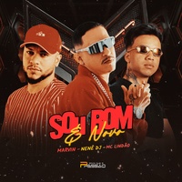 Sou Bom e Novo