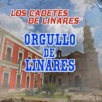 Por Jugar Con Amor