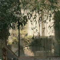 千年(回忆版)