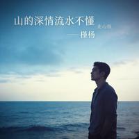 山的深情流水不懂 - 走心版